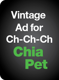 Vintage Ad for Ch-Ch-Ch Chia Pet 