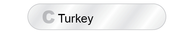 The Answer Is C - Turkey