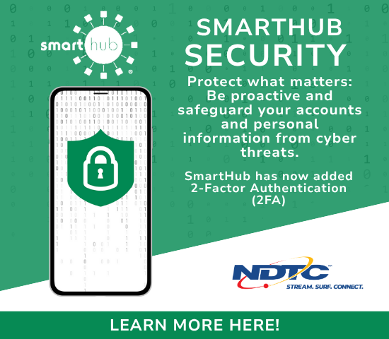 SmartHub Security