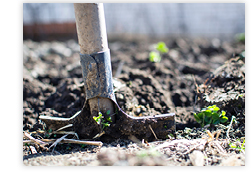 Shovel Digging
