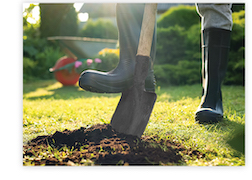 Person Digging a Hole