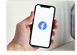 Person Holding Phone